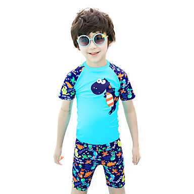 boys two piece swimwear