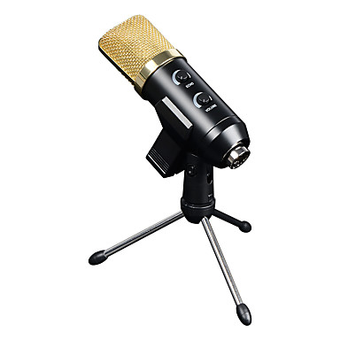 reverb microphone toy